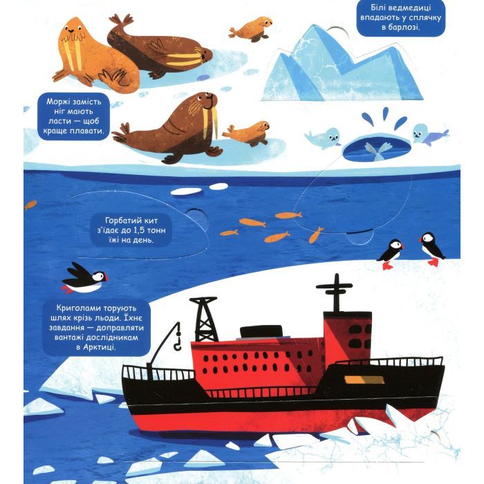 Книга Маленькі дослідники. Погода і природа #книголав (9786177563852) изображение 10