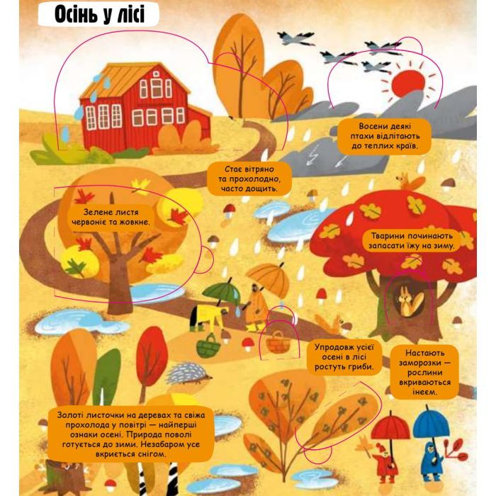 Книга Маленькі дослідники. Погода і природа #книголав (9786177563852) изображение 3