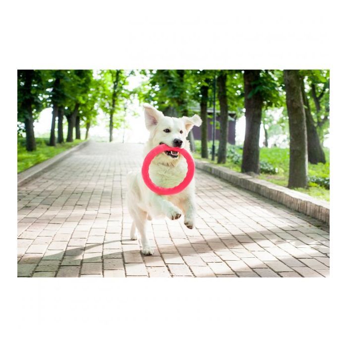 Игрушка для собак Collar PitchDog Кольцо для апортировки 28 см розовое (62387) изображение 4