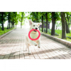 Іграшка для собак Collar PitchDog Кільце для апортування 28 см рожеве (62387) зображення 4