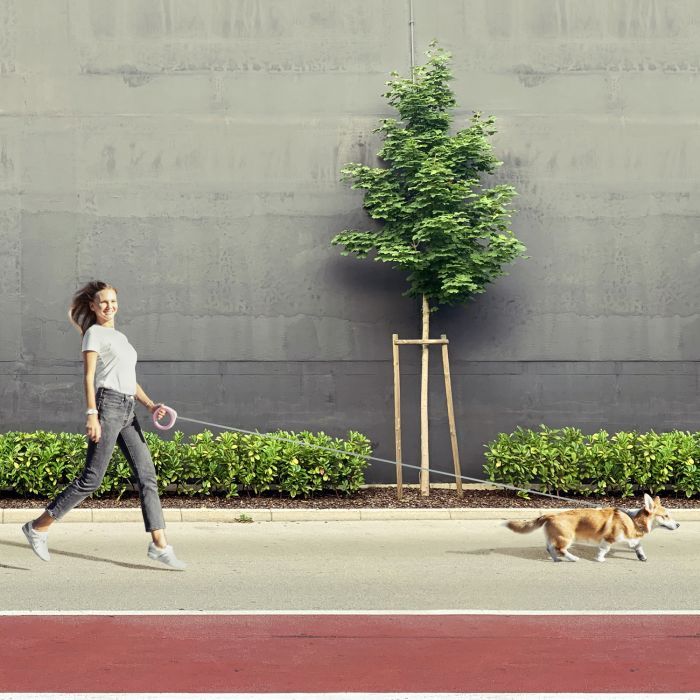 Повідець для собак WAUDOG R-leash світловідбиваюча стрічка XS-M до 40 кг 2.9 м білий (812715) зображення 5