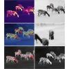 Монокуляр Guide Тепловізійний TrackIR Pro 35mm, 640x480, 12m, VOx, 2x-16x (TrackIRPro35mm) зображення 7