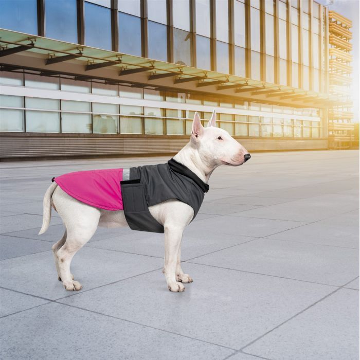 Попона для животных Pet Fashion ROY XL малиново-серая (4823082432929) изображение 7