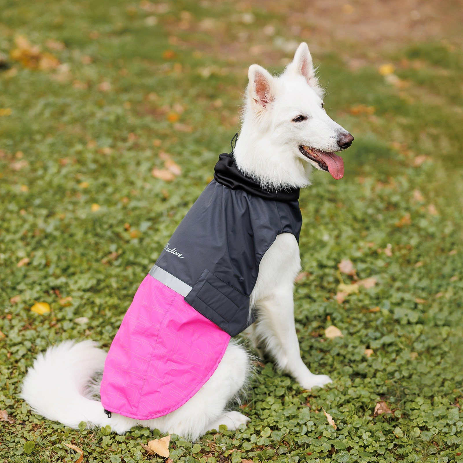 Попона для животных Pet Fashion ROY XL малиново-серая (4823082432929) изображение 8