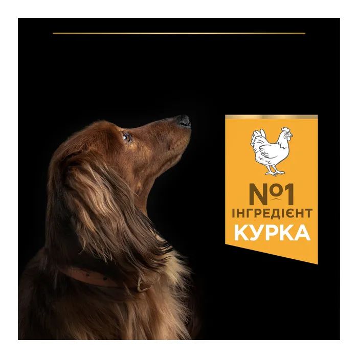 Сухий корм для собак Purina Pro Plan Dog Small&Mini Adult з куркою і рисом 3 кг (7613035114920) зображення 6