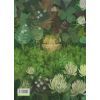 Книга Туконі - мешканець лісу - Оксана Була Видавництво Старого Лева (9786176794929) изображение 2