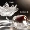 Сыворотка для лица Medi-Peel Phyto Exosome PDRN Lifting Shot Serum 50 мл (8809941824674) изображение 3