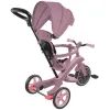 Детский велосипед Globber Explorer trike 4 в 1 пастельно-бузковий (637-510) изображение 3