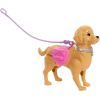 Кукла Barbie Прогулка с собачкой (JJB46) изображение 3