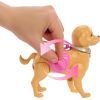 Кукла Barbie Прогулка с собачкой (JJB46) изображение 5