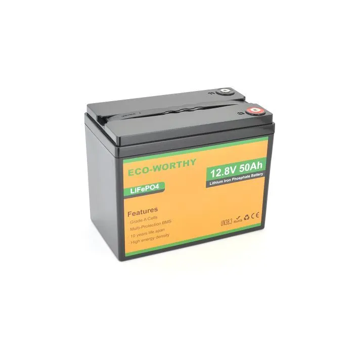 Батарея LiFePo4 Dyness 12,8V 50Ah (50/50A) (Eco-Worthy-1250)