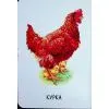 Книга 22 картинки. Свійські тварини Ранок (9786178773823) зображення 12