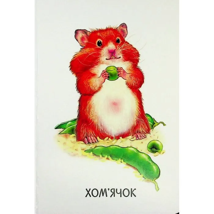 Книга 22 картинки. Свійські тварини Ранок (9786178773823) зображення 5