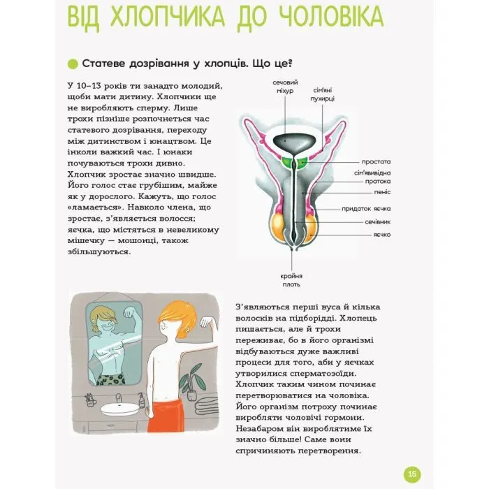 Книга Для турботливих батьків. Енциклопедія статевого життя. 10-13 років 4mamas (9786170037916) изображение 8