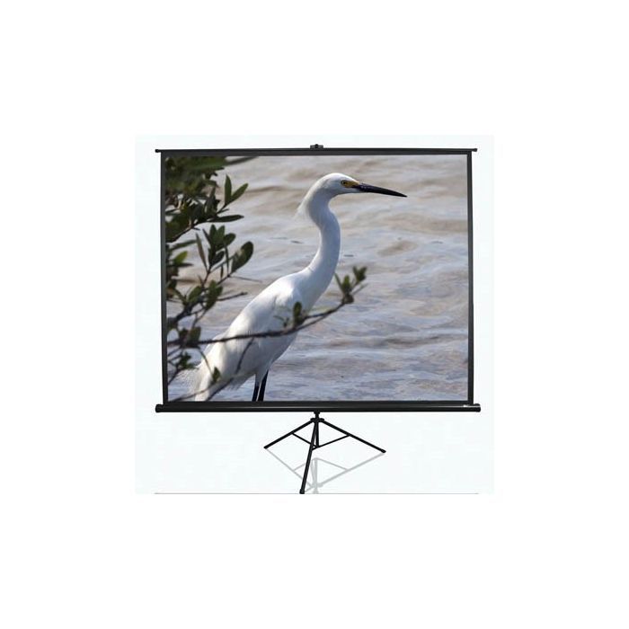 Проекційний екран T84UWV1 Elite Screens