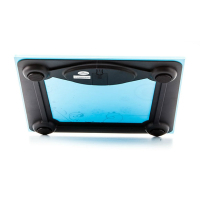 Весы напольные DEX DBS-308 Fantasy (DBS-308) изображение 4