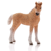 Фигурка Schleich Жеребенок кудрявый башкирский (13781)