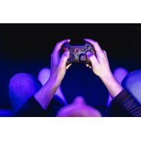 Геймпад Speedlink TORID Gamepad - Wireless - for PC-PS3 (SL-6576-BK-02) изображение 7