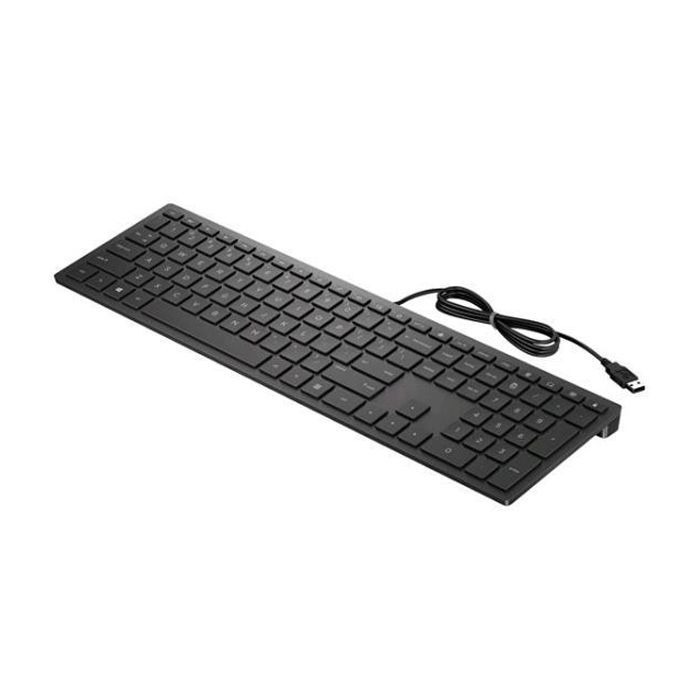 Клавиатура HP Pavilion 300 USB UA Black (4CE96AA) изображение 2