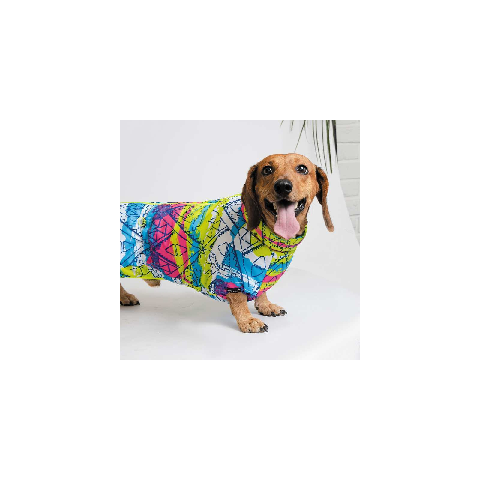 Комбинезон для животных Pet Fashion "PUZZLE" XS (4823082422449) изображение 3