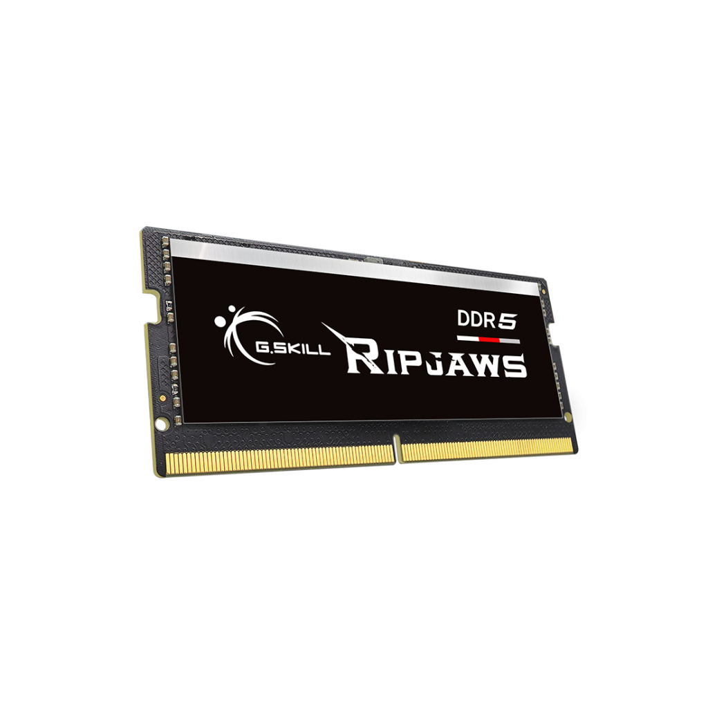 Модуль пам'яті для ноутбука SoDIMM DDR5 16GB 4800 MHz Ripjaws G.Skill (F5-4800S4039A16GX1-RS) зображення 2