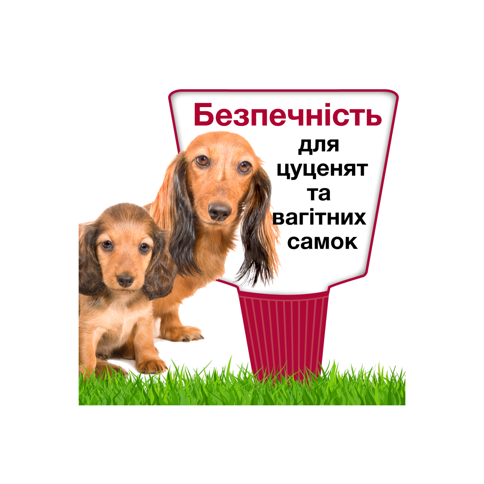 Капли для животных Bayer Адвантикс от заражений экто паразитами для собак 4-10 кг 4/1.0 мл (4007221047230) изображение 11