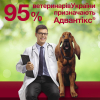 Краплі для тварин Bayer Адвантікс від заражень екто паразитами для собак 4-10 кг 4/1.0 мл (4007221047230) зображення 12