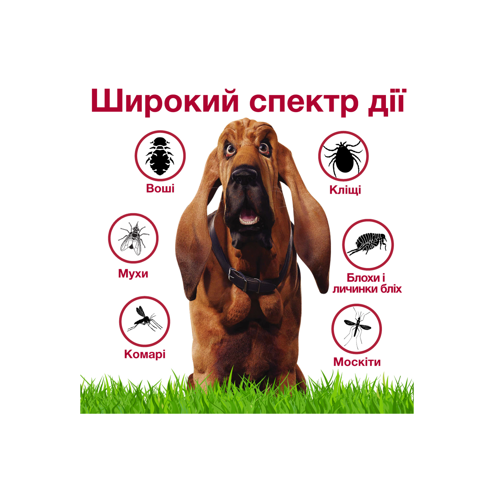 Капли для животных Bayer Адвантикс от заражений экто паразитами для собак 4-10 кг 4/1.0 мл (4007221047230) изображение 8