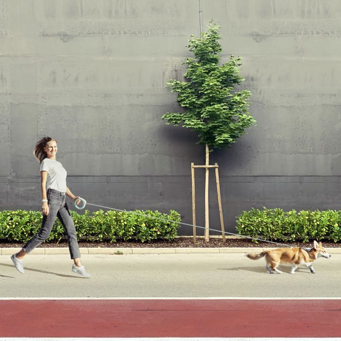 Повідець для собак WAUDOG R-leash світловідбиваюча стрічка XS-M до 40 кг 2.9 м білий (812715) зображення 5