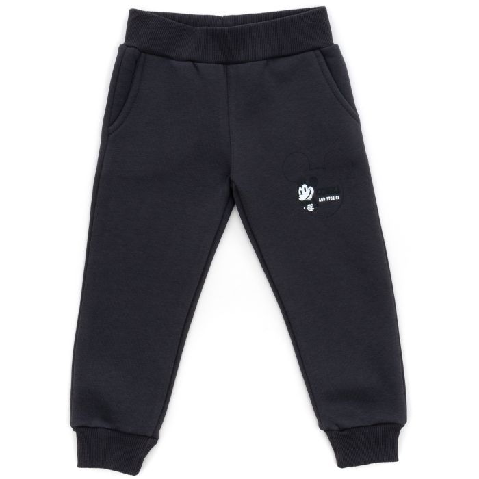 Спортивний костюм дитячий Smile флисовий (23163-98B-gray) зображення 3
