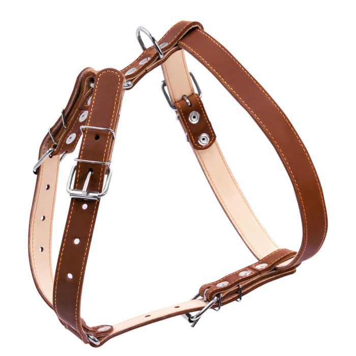 Шлея для собак Collar подвійна для середніх порід Ш 25 мм А:49-68 см В:68-80 см коричнева (06426) зображення 2