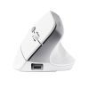 Мышка Trust Bayo II Ergonomic Wireless White (25398) изображение 3