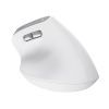Мышка Trust Bayo II Ergonomic Wireless White (25398) изображение 6