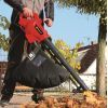 Пылесос садовый Einhell GC-EL 3024 E 3000Вт, 3в1, 240км/час, 650куб/час, 40л (3433370) изображение 2