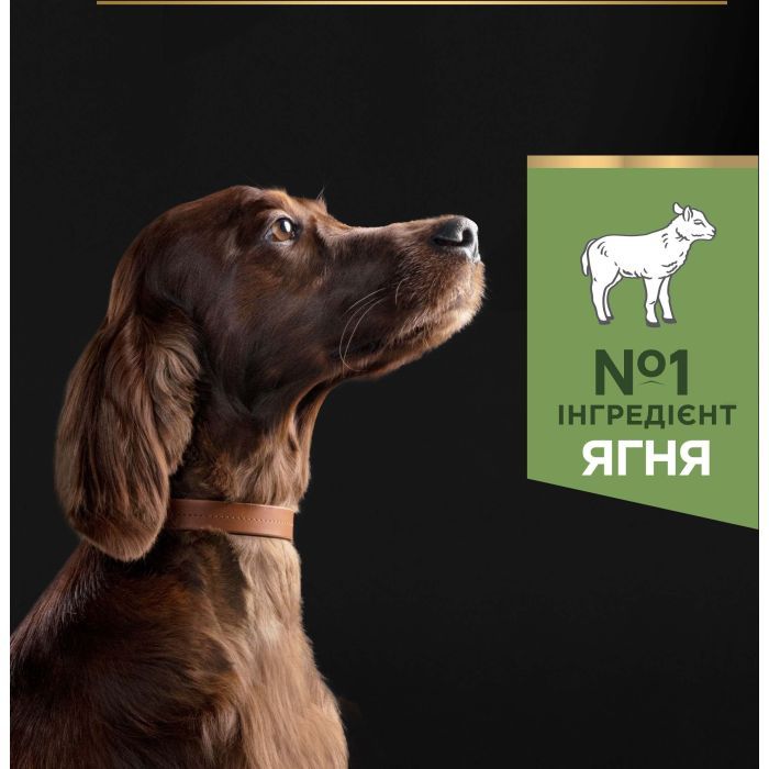 Сухой корм для собак Purina Pro Plan Large Athletic Adult 2+ Sensitive Digestion Для больших пород С ягненком 14 кг (7613035415591) изображение 5