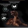 Сухой корм для собак Purina Pro Plan Large Athletic Adult 2+ Sensitive Digestion Для больших пород С ягненком 14 кг (7613035415591) изображение 6