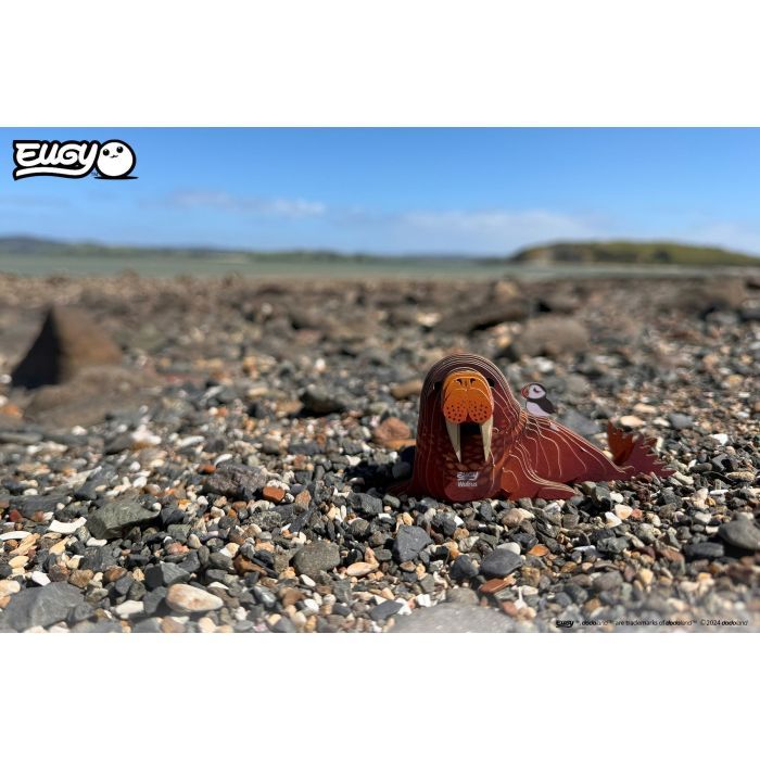 Пазл Eugy 3D Зоопарк Морж (XEG-107) изображение 11