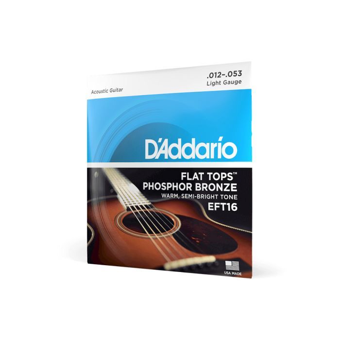 Струни для гітари D'Addario Flat Tops Phosphor Bronze Light (12-53) (EFT16) зображення 2