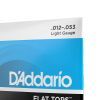 Струни для гітари D'Addario Flat Tops Phosphor Bronze Light (12-53) (EFT16) зображення 4