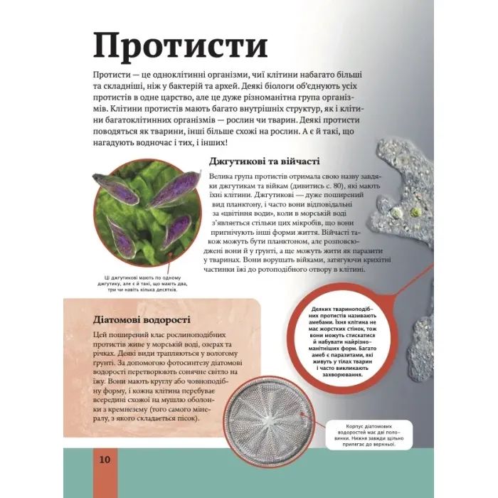 Книга Дитяча енциклопедія біології - Том Джексон Vivat (9786171707825) зображення 10