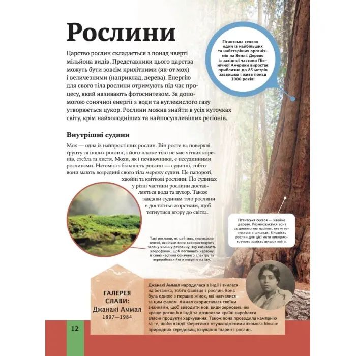 Книга Дитяча енциклопедія біології - Том Джексон Vivat (9786171707825) зображення 12