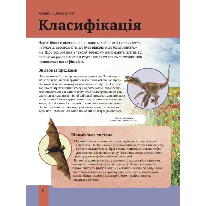 Книга Дитяча енциклопедія біології - Том Джексон Vivat (9786171707825) зображення 6