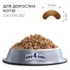 Сухий корм для кішок Club 4 Paws з куркою 2 кг (4820269141025) зображення 2