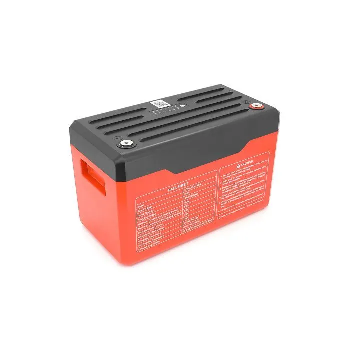 Батарея LiFePo4 Dyness 25,6V 100Ah (100/100A) (Eco-Worthy-251004) изображение 2