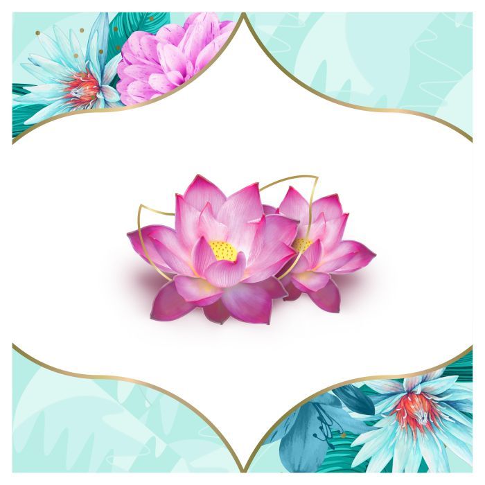 Щоденні прокладки Discreet Deo Water Lily 60 шт. (8001090170354/8700216152983) зображення 5