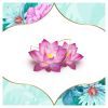 Щоденні прокладки Discreet Deo Water Lily 60 шт. (8001090170354/8700216152983) зображення 5