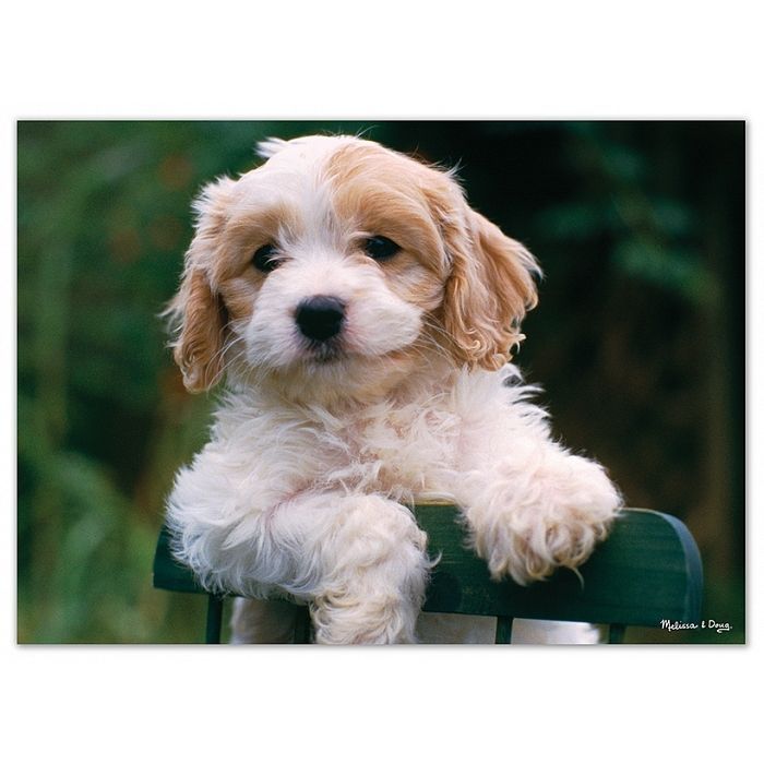 Пазл Melissa&Doug Цуценята, 30 елементів (MD8923) зображення 2