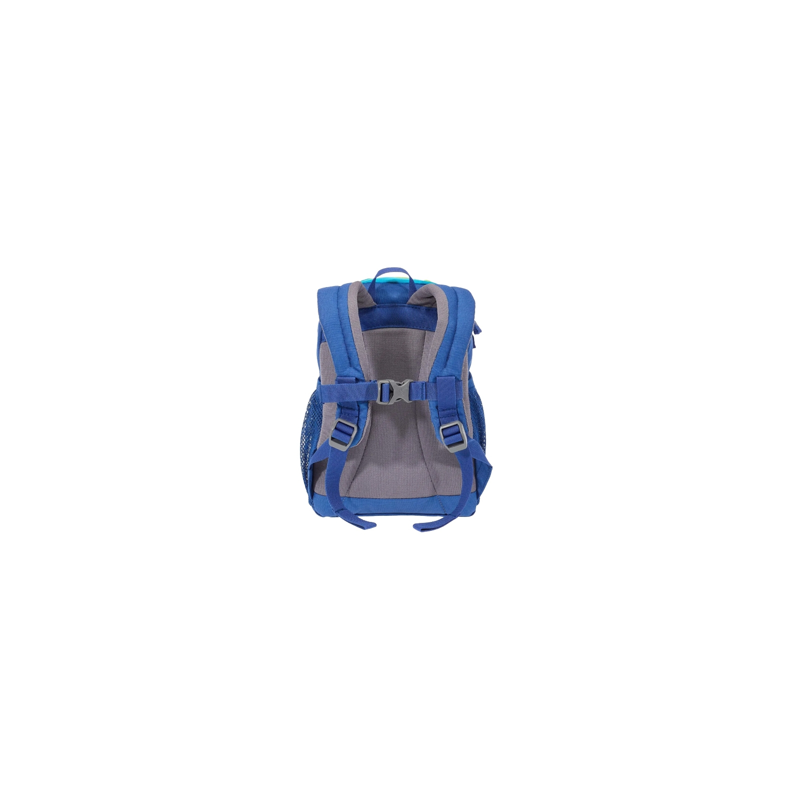 Рюкзак школьный Deuter Pico 3391 indigo-turquoise (36043 3391) изображение 4