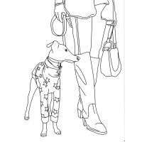 Книга #girls #fashion #pets Жорж (9786177853915) изображение 12