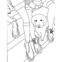 Книга #girls #fashion #pets Жорж (9786177853915) изображение 6